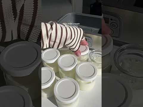 MDMV Electronic Yogurt Maker - 25W Stainless Steel Body, 1.5L 8 Glass Jars